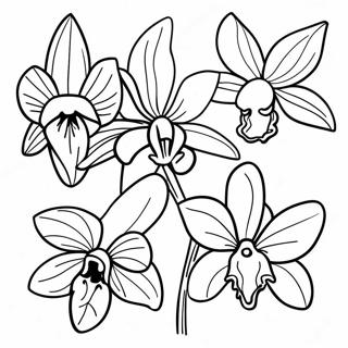 Yi Guo Qing Diao De Lan Hua Pin Chong Tu Se Ye 120555-55273