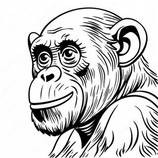 Hei Xing Xing Tu Se Ye 129710-62831