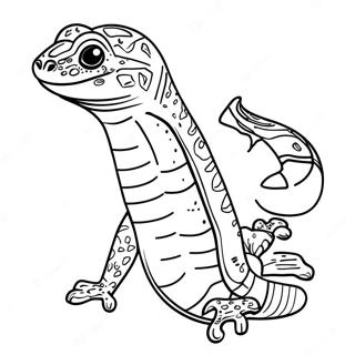 Bao Wen Bi Hu Tu Se Ye 138362-69711