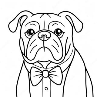 Dai Ling Jie De Dou Niu Quan Tu Se Ye 76093-19038