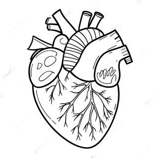 Zhen Shi De Xin Zang Jie Pou Tu Se Ye 76808-19597